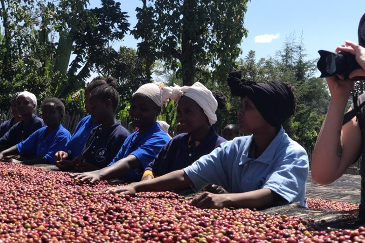 Ethiopian Coffee – Single Origin & Traceability